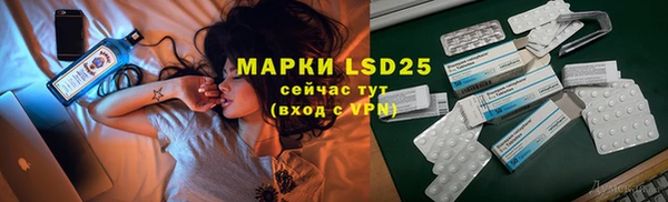 трава Няндома