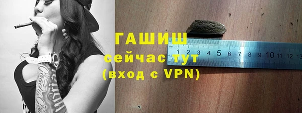 индика Новодвинск