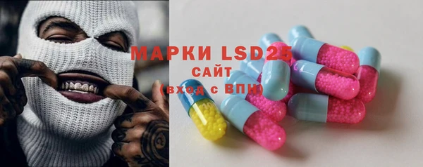 индика Новодвинск