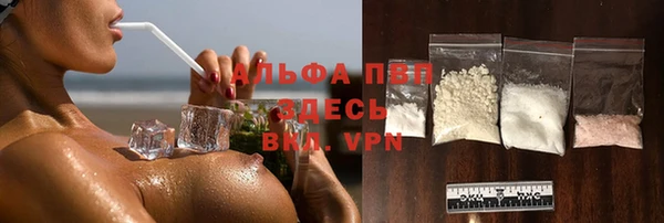 мдпв Новозыбков