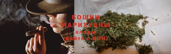 индика Новодвинск
