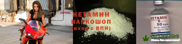 индика Новодвинск