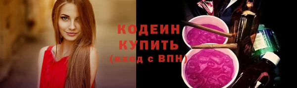 индика Новодвинск