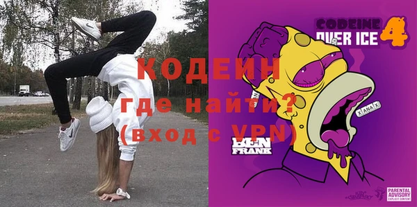 индика Новодвинск