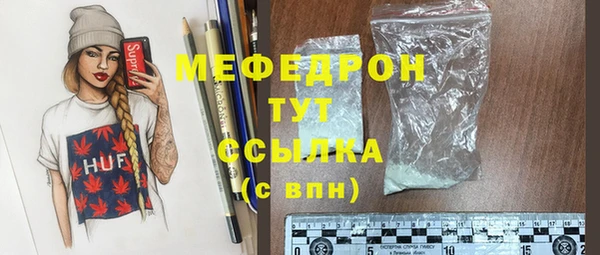 индика Новодвинск