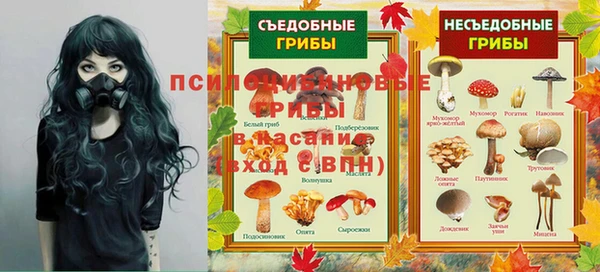 трава Няндома