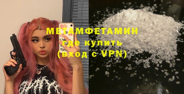 индика Новодвинск