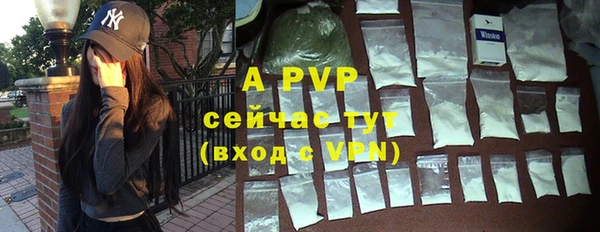 индика Новодвинск