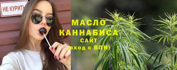 индика Новодвинск