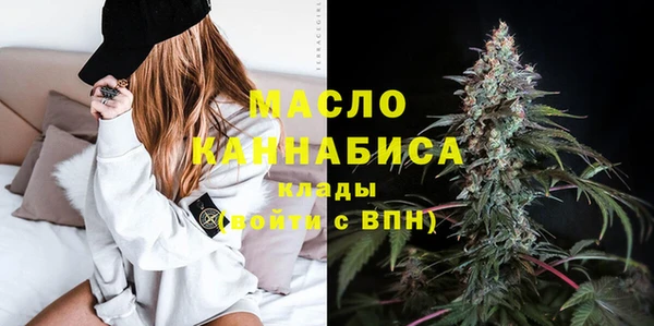 индика Новодвинск