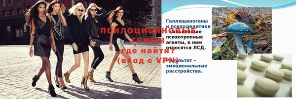трава Няндома