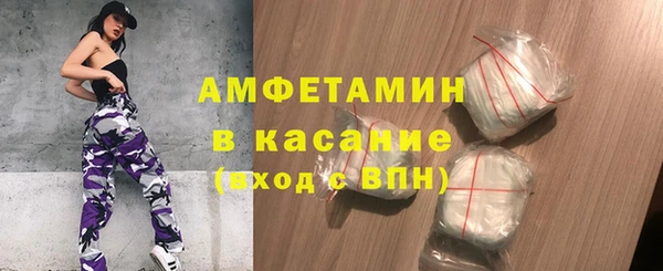 трава Няндома