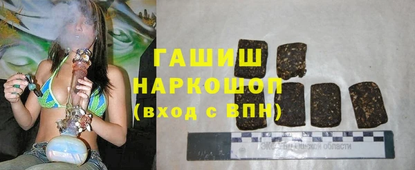 мдпв Новозыбков