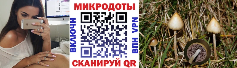 Псилоцибиновые грибы Psilocybine cubensis  сколько стоит  Киренск 